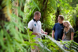 Auckland Tours and Guided Walks, Maori Tours