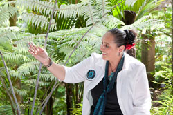 TIME Unlimited - Auckland Tours & Auckland Maori Tours