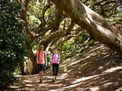 Auckland New Zealand Tours with TIME Unlimited Tours in Auckland NZ