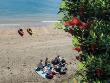 Auckland Kayaking Tour / Auckland Kayak Fishing Tour with TIME Unlimited