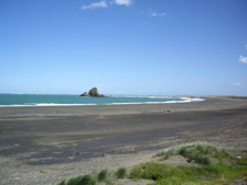 Auckland Guided Tours and Personal Tours