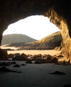 Auckland Tours - Personal Guided Auckland Tours to show you the best of Auckland city and Auckland region
