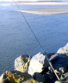 Kayak Fishing Tours, Kite Fishing Tours, Charter Boats, Marlin Fishing or Fly Fishing Tours - we can arrange all such Customised Fishing Tours