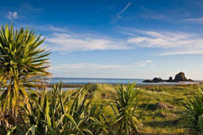 Auckland New Zealand Shore Excursion Tours and Cruise Shore Excursions from Auckland