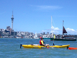 Auckland NZ Kayaking Adventures - Full Day Auckland Kayak Adventure Tours