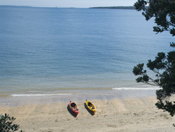 Kayaking Adventures Auckland NZ - Full Day Auckland Kayak Adventure Tours
