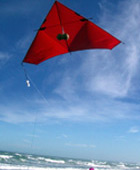 Auckland Kite Fishing Tours - Auckland Adventures with TIME Unlimited