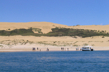 Private Luxury Tour from Auckland to Hokianga