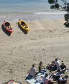 Auckland Kayaking Tours - Full Day Auckland Kayak Adventure Tours in New Zealand