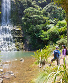 Auckland All Inclusive Tours and Auckland Sightseeing Day Tours