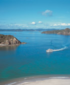 Auckland to Bay of Islands Luxury Tour