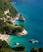 pviate Auckland Coromandel Tours