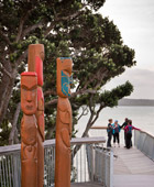 Auckjland Highlights Tour Half Day