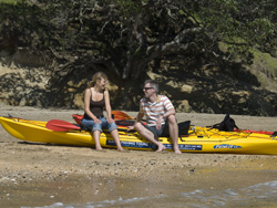 TIME Unlimited Auckland Kayak Adventure Tours &ndash; Half Day