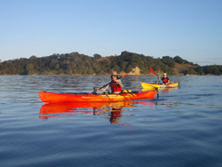 Auckland New Zealand Kayaking Tours - Full Day Auckland Kayak Adventure Tours