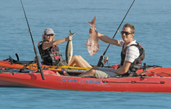 Kayak Fishing Adventure in Auckland, New Zealand: Relax and try fishing from kayaks - also called yakfishing - using various methods