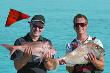 Excursions de pêche au cerf-volant à Auckland Nouvelle-Zélande - Auckland Kite Fishing Tours