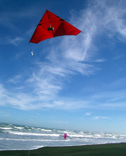 On our Auckland New Zealand Kite Fishing Adventures Tours we fish at some of our favourite fishing spots around Auckland