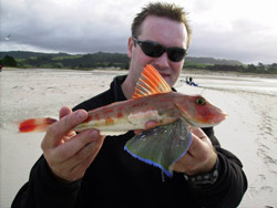 Our kite fishing adventure