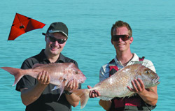 Kite fishing is far more effective than other conventional methods