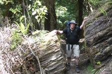 Randonnées en brousse à Auckland Nouvelle-Zélande - Auckland Wilderness Walks