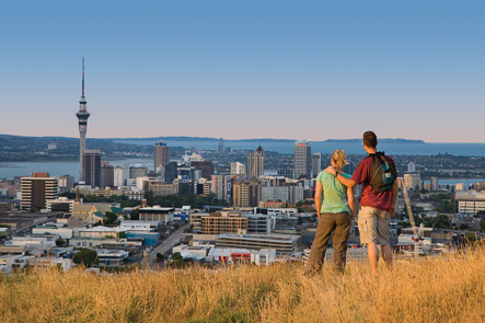 Private Luxury Tours from Auckland City