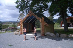 Maori TIME – Interactive and Personal Maori Culture Weekends near Auckland New Zealand
