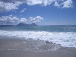 Auckland Bay of Islands Private Tours