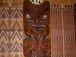 Auckland Bay of Islands Private Tours
