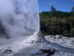 Auckland Private Exclusive Luxury Tours - Auckland to Rotorua Private Tours