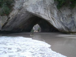 Auckland Private Luxury Tours - Auckland to Coromandel Private Tours