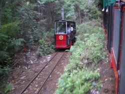 Auckland Private Luxury Tours - Auckland to Coromandel Private Tours