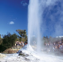 Private Luxury Tours of Auckland; to & from Auckland
