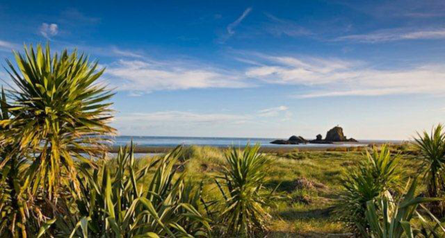 Auckland NZ Shore Excursions - Cruise Shore Excursions from Auckland New Zealand